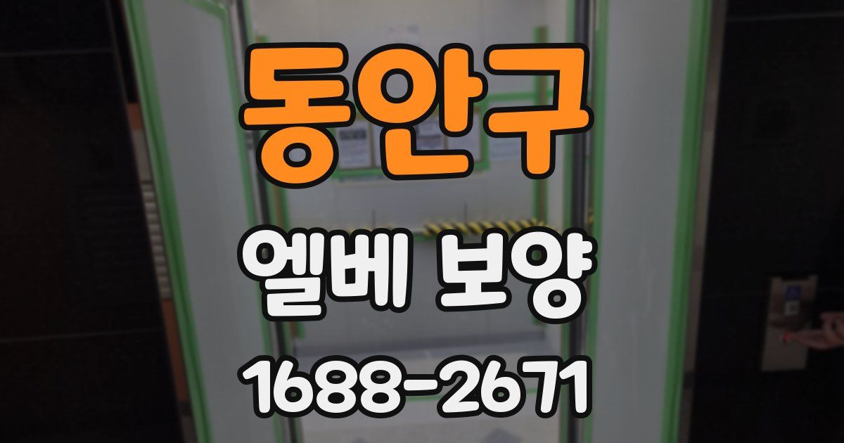 동안구 엘베 보양