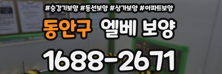 동안구 엘베 보양