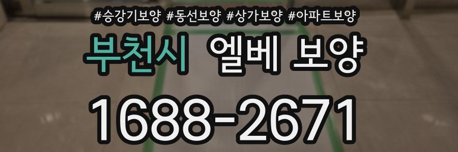 부천시 엘베 보양