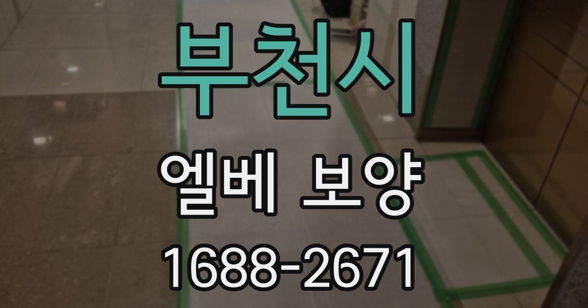 부천시 엘베 보양