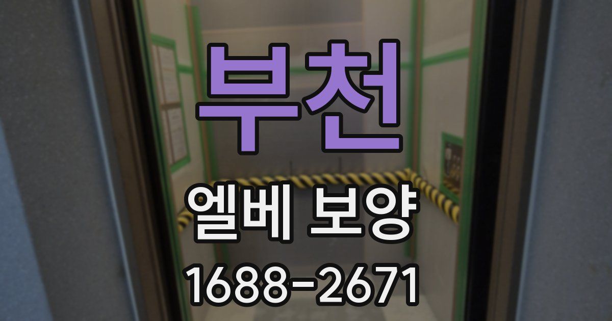 부천 엘베 보양