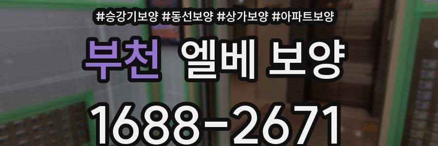 부천 엘베 보양