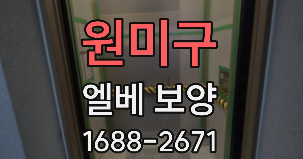 원미구 엘베 보양