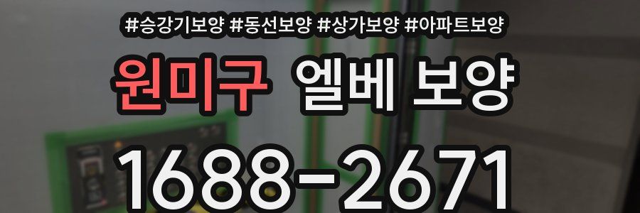 원미구 엘베 보양