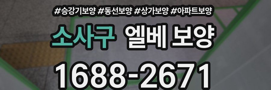 소사구 엘베 보양
