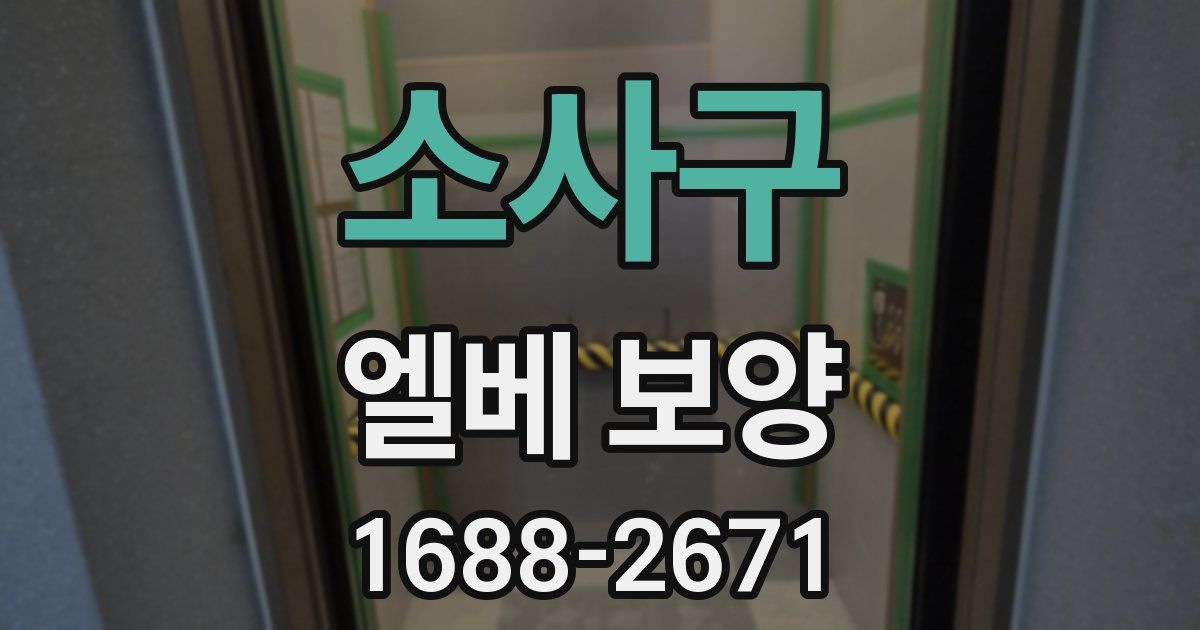 소사구 엘베 보양