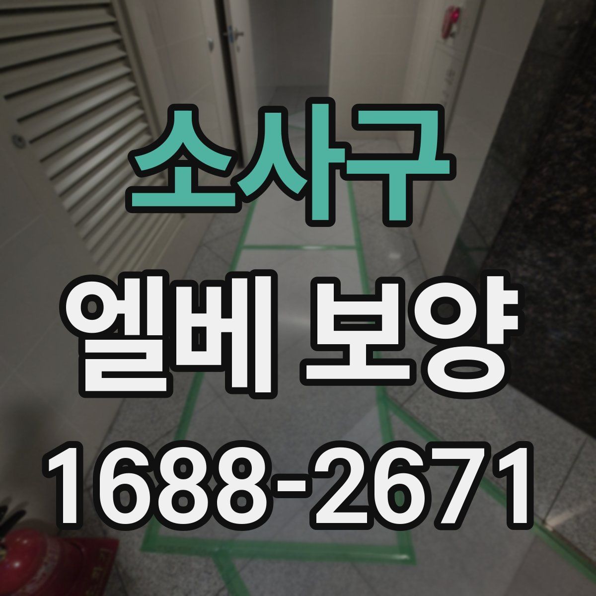 소사구 엘베 보양