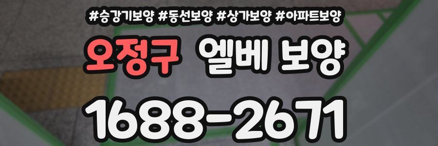 오정구 엘베 보양