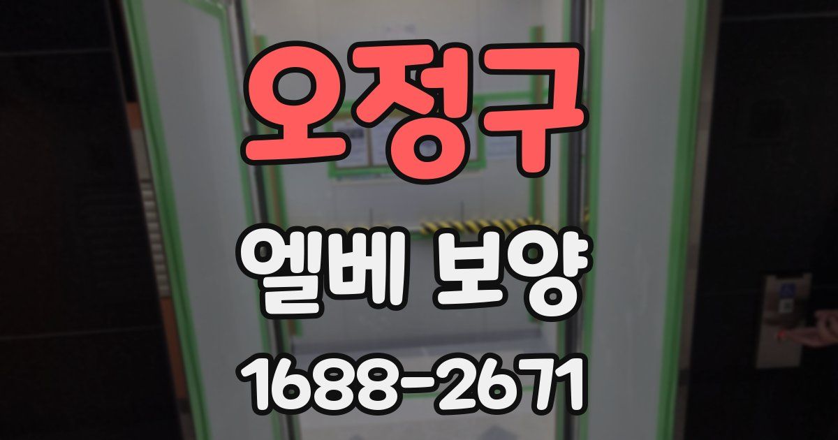 오정구 엘베 보양