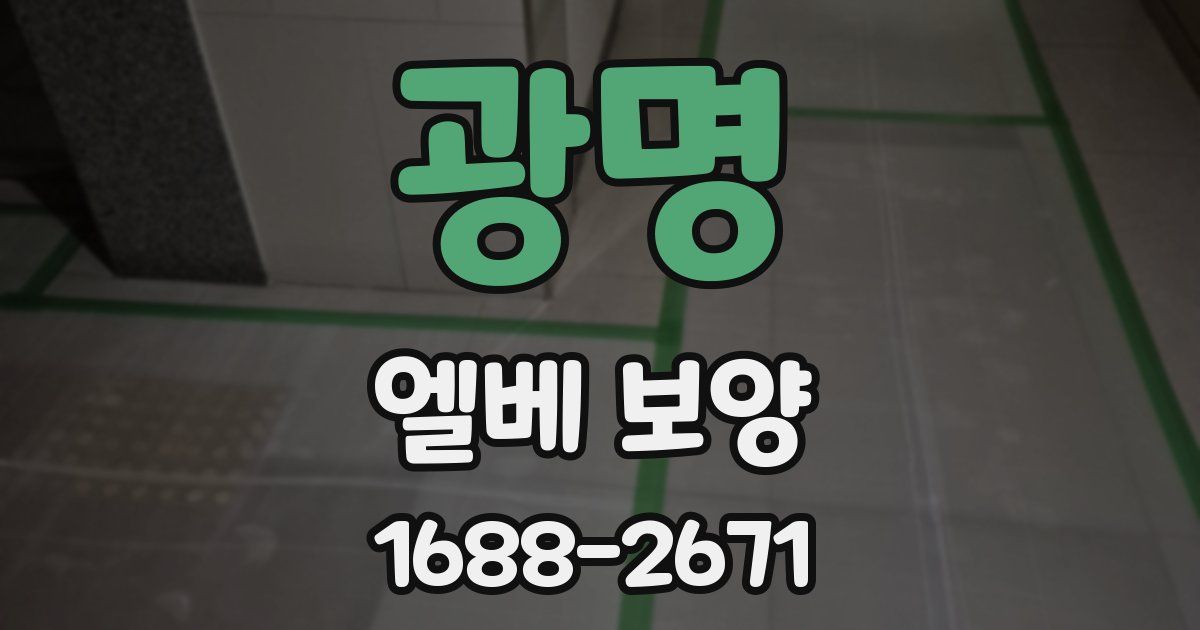광명 엘베 보양