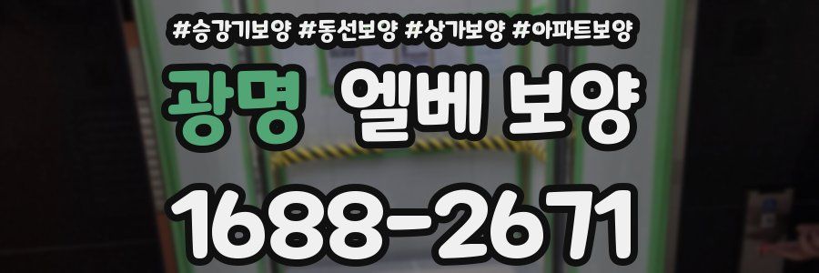 광명 엘베 보양