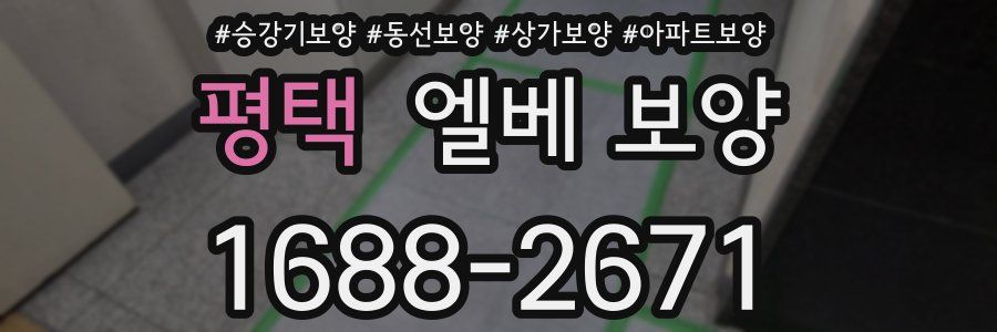 평택 엘베 보양