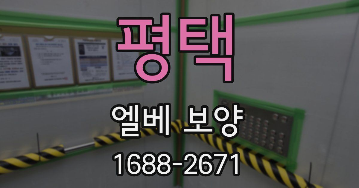 평택 엘베 보양