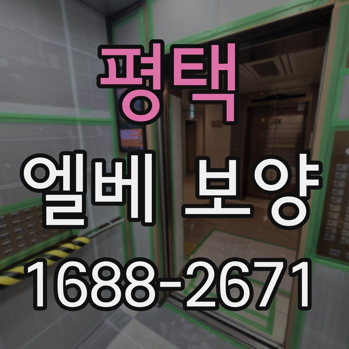 평택 엘베 보양