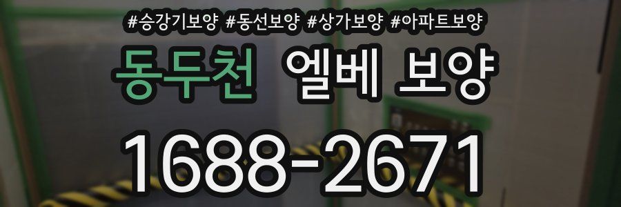 동두천 엘베 보양