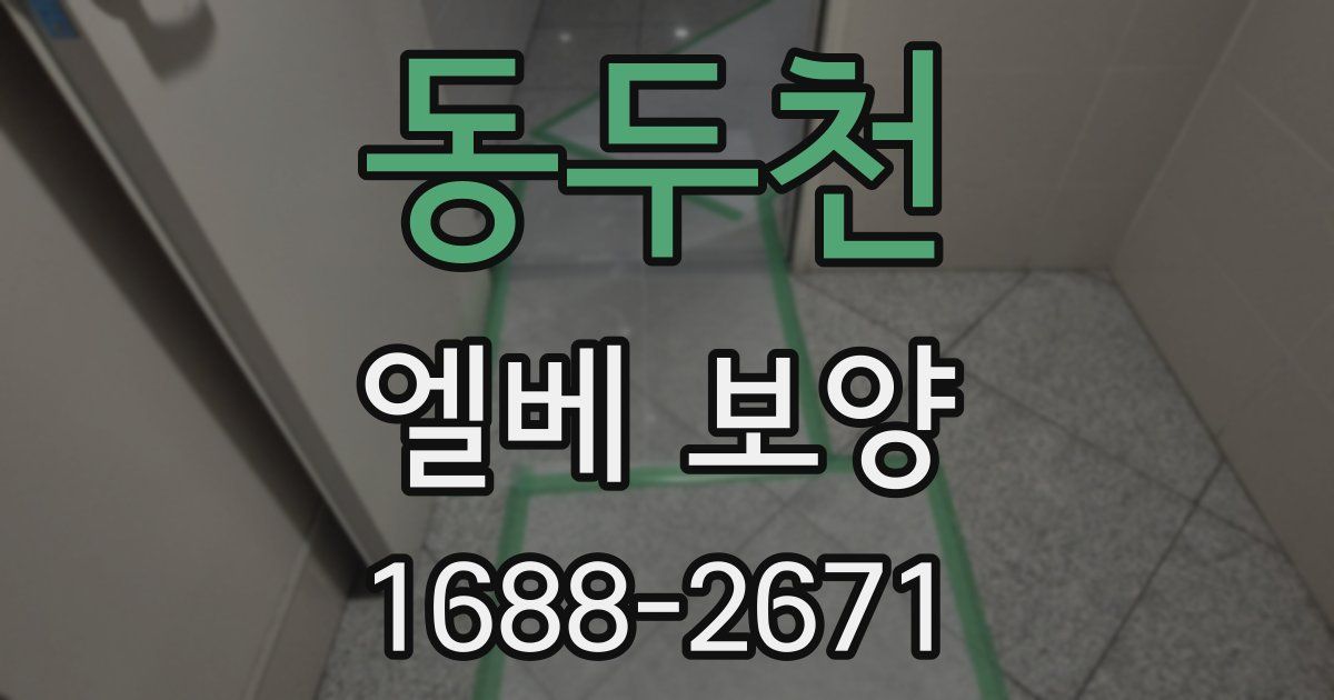 동두천 엘베 보양