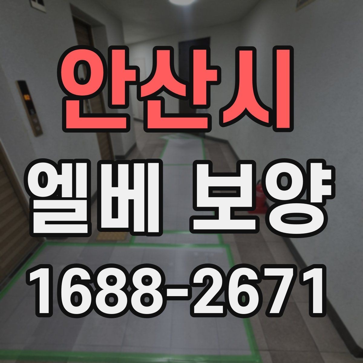 안산시 엘베 보양 바닥 벽면 거울 자재를 나눠 쓰는 이유