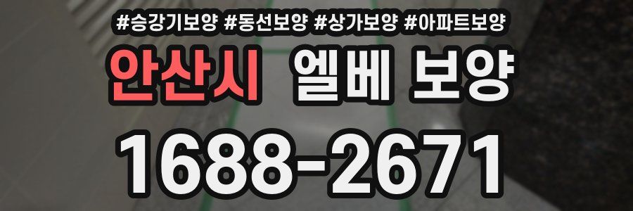 안산시 엘베 보양