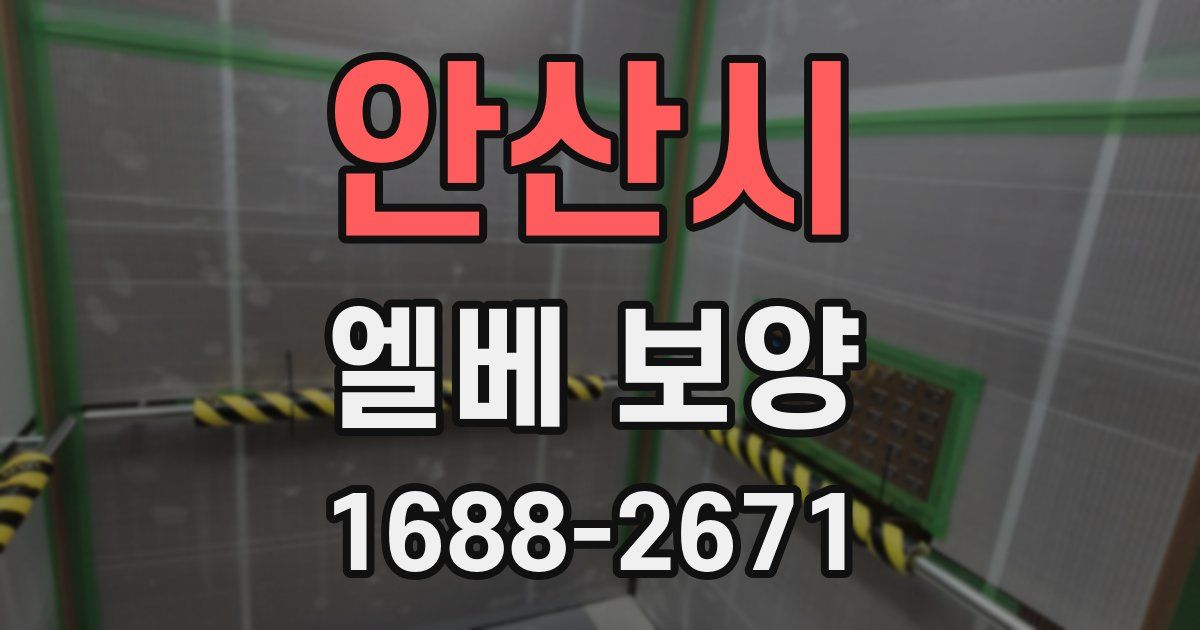 안산시 엘베 보양