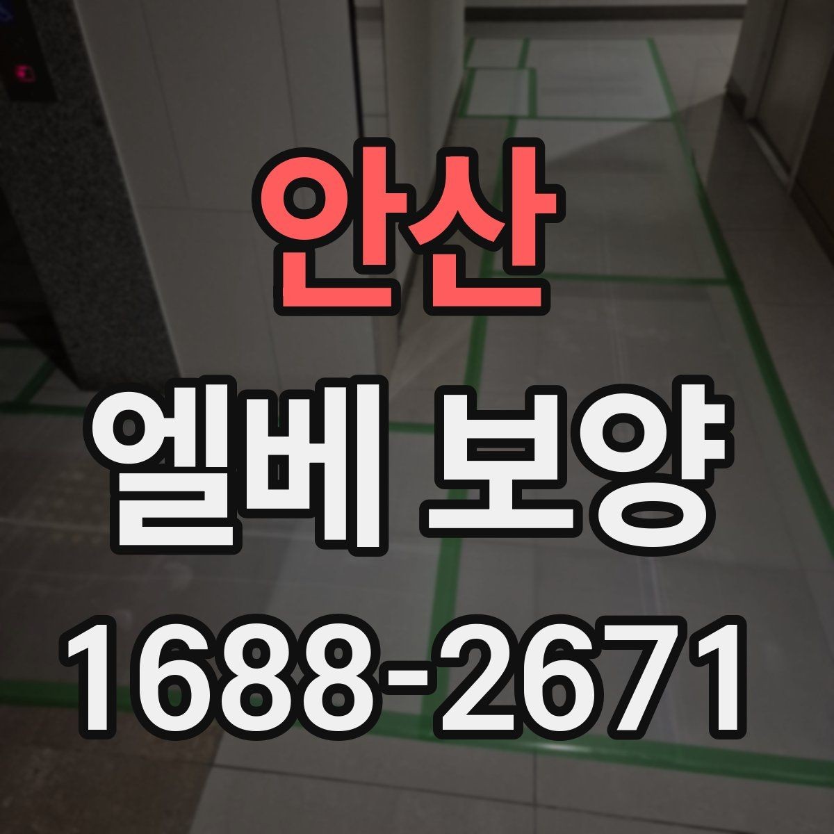안산 엘베 보양 작업 전후 사진이 필요한 순간