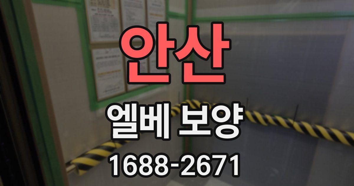 안산 엘베 보양