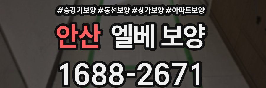 안산 엘베 보양