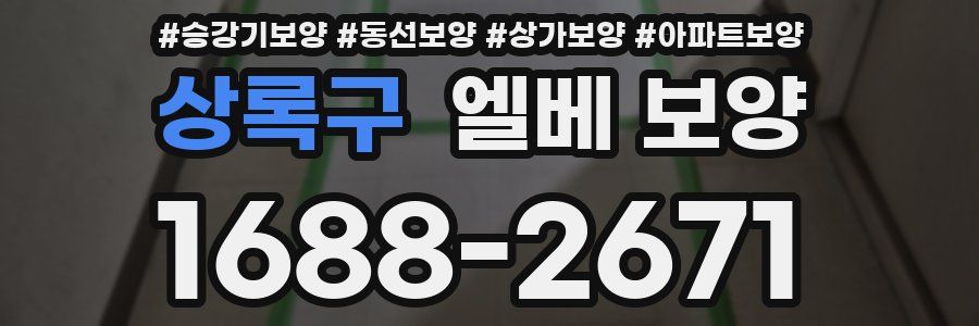 상록구 엘베 보양
