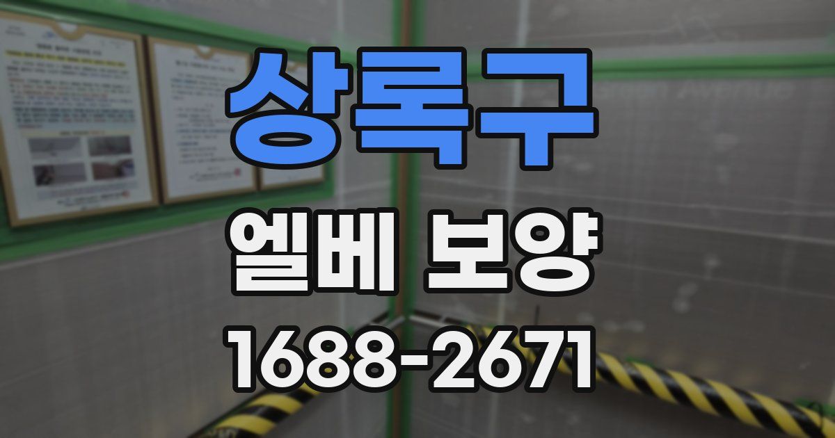 상록구 엘베 보양