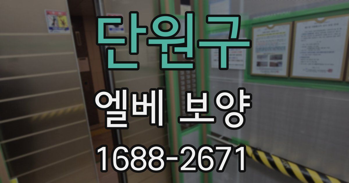단원구 엘베 보양