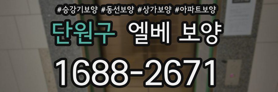 단원구 엘베 보양