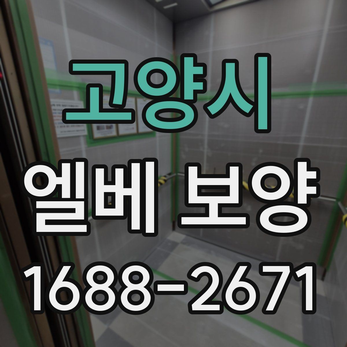 고양시 엘베 보양 보행 동선이 복잡한 현장 주요 점검 항목