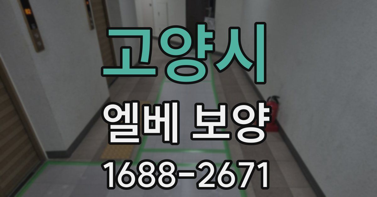 고양시 엘베 보양