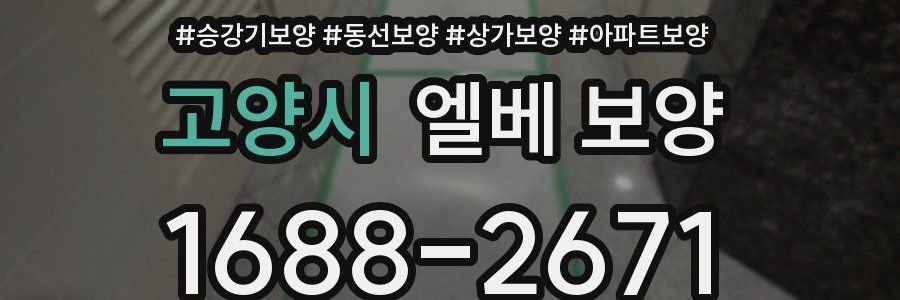 고양시 엘베 보양