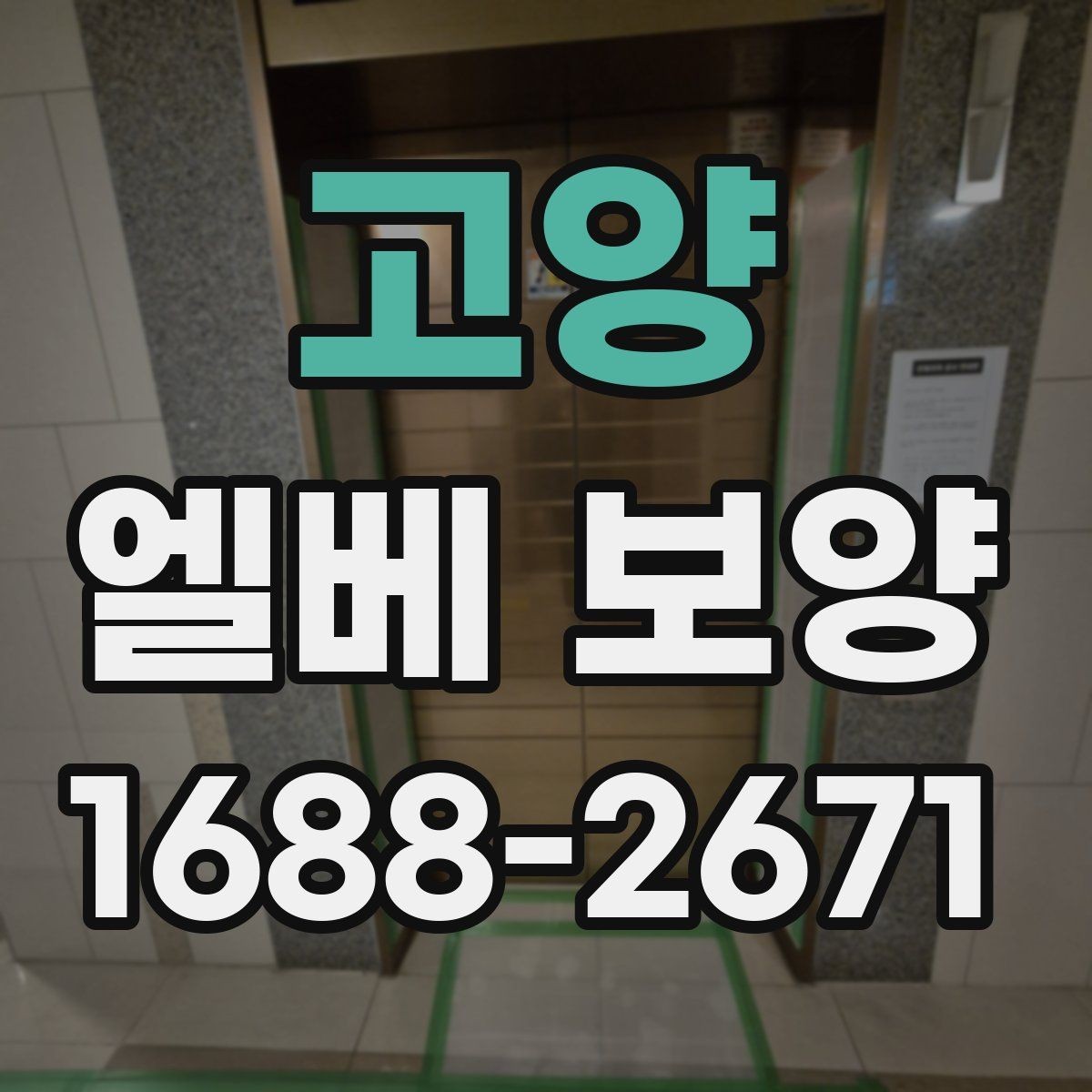 고양 엘베 보양 현장별 보호 범위와 순서가 달라지는 이유