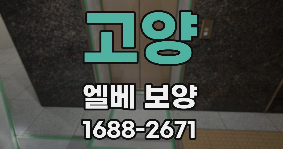 고양 엘베 보양
