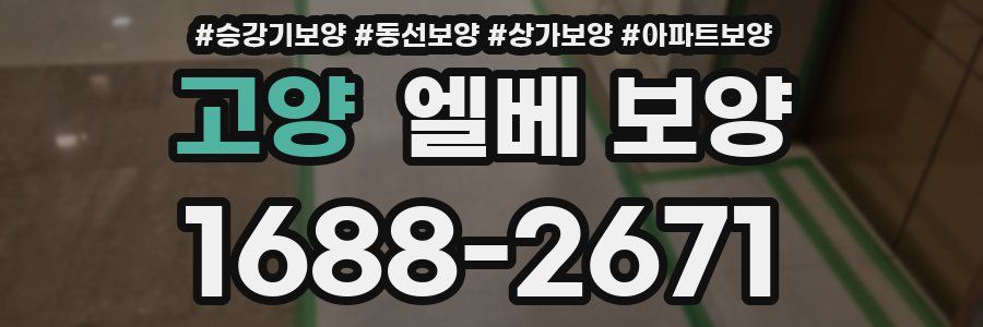 고양 엘베 보양
