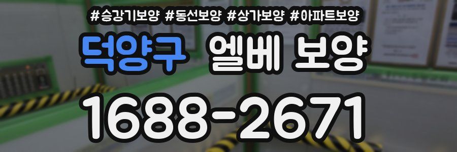 덕양구 엘베 보양