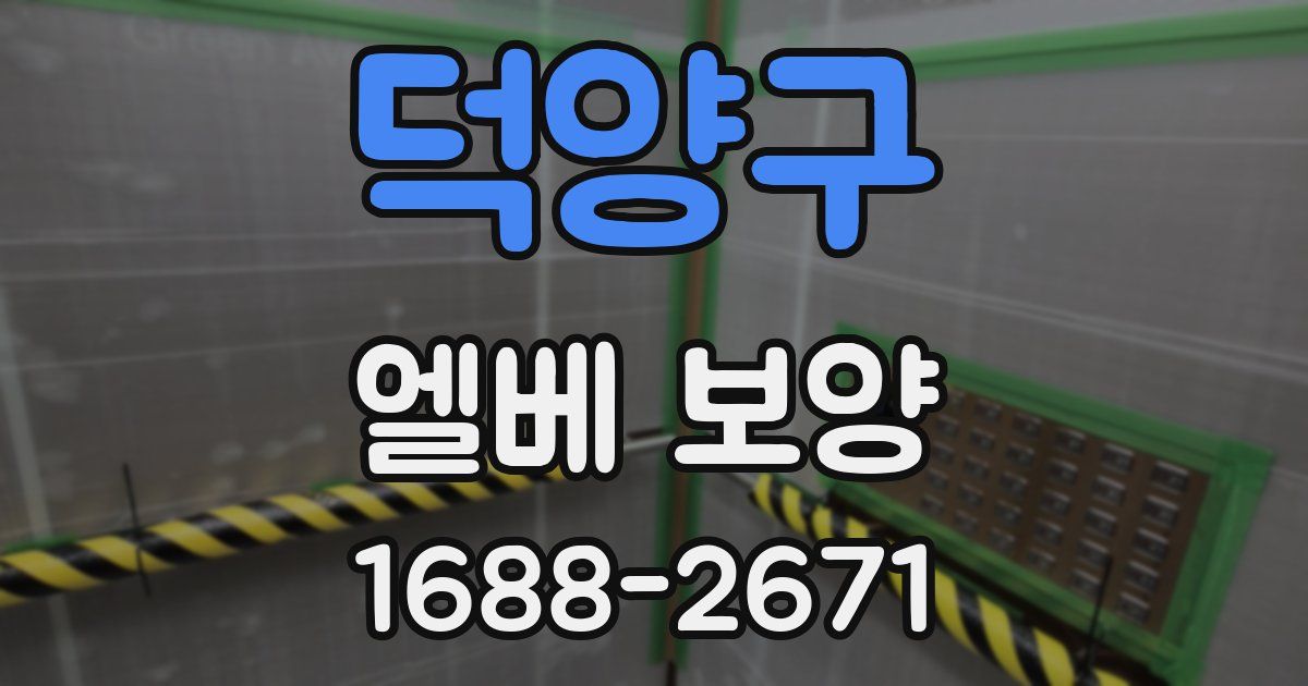 덕양구 엘베 보양