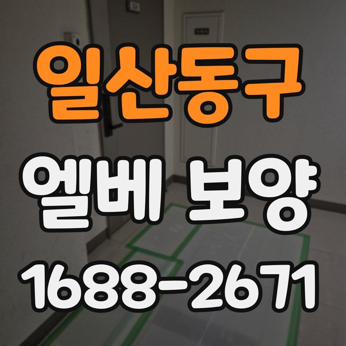일산동구 엘베 보양 바닥 벽면 거울 자재를 나눠 쓰는 이유