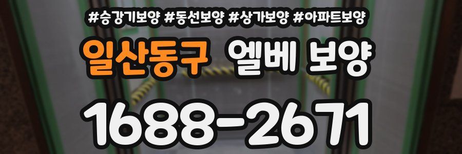 일산동구 엘베 보양
