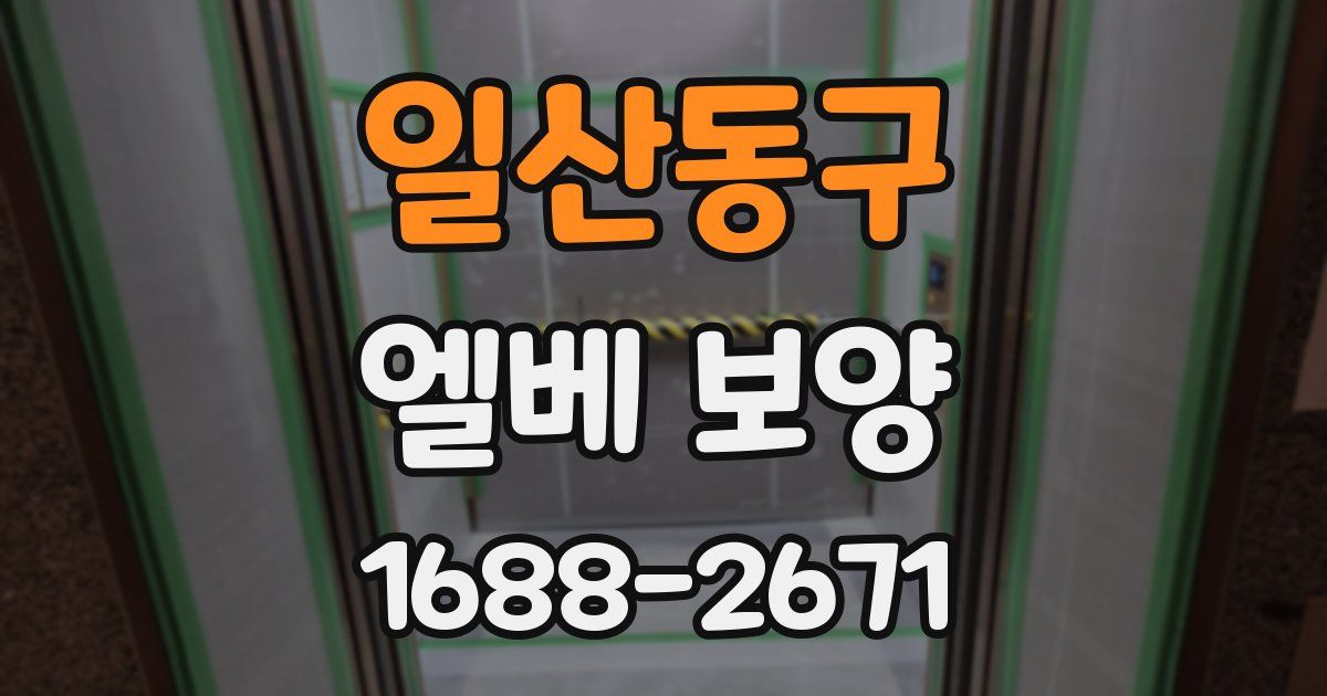 일산동구 엘베 보양