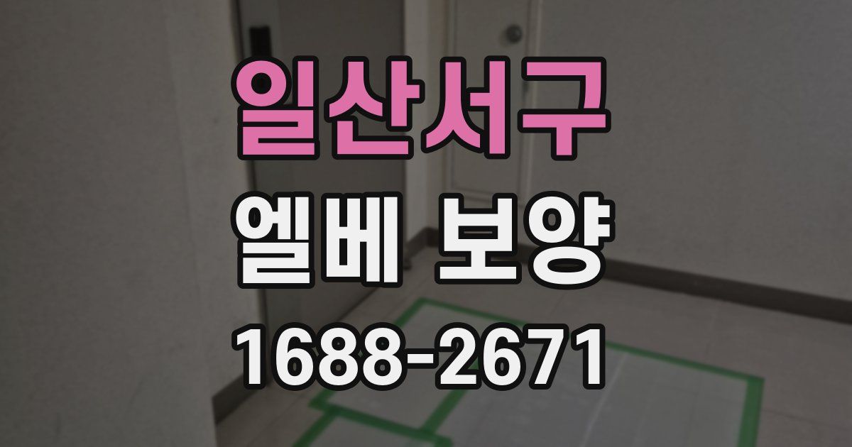 일산서구 엘베 보양