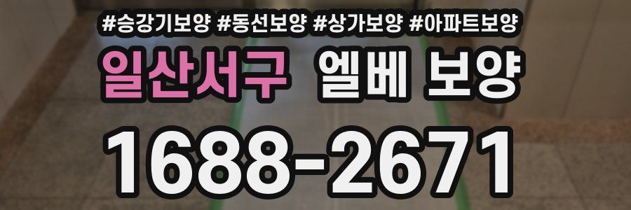 일산서구 엘베 보양