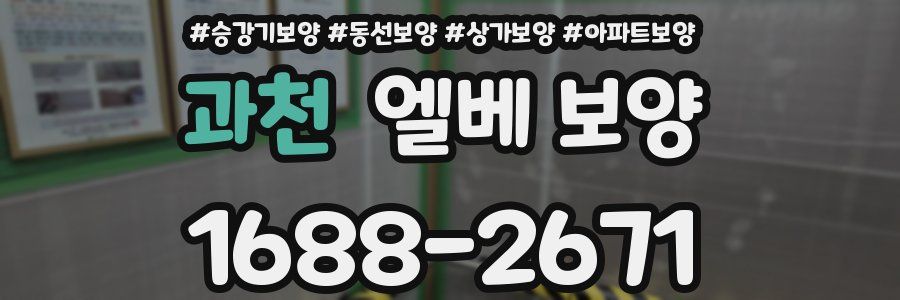 과천 엘베 보양