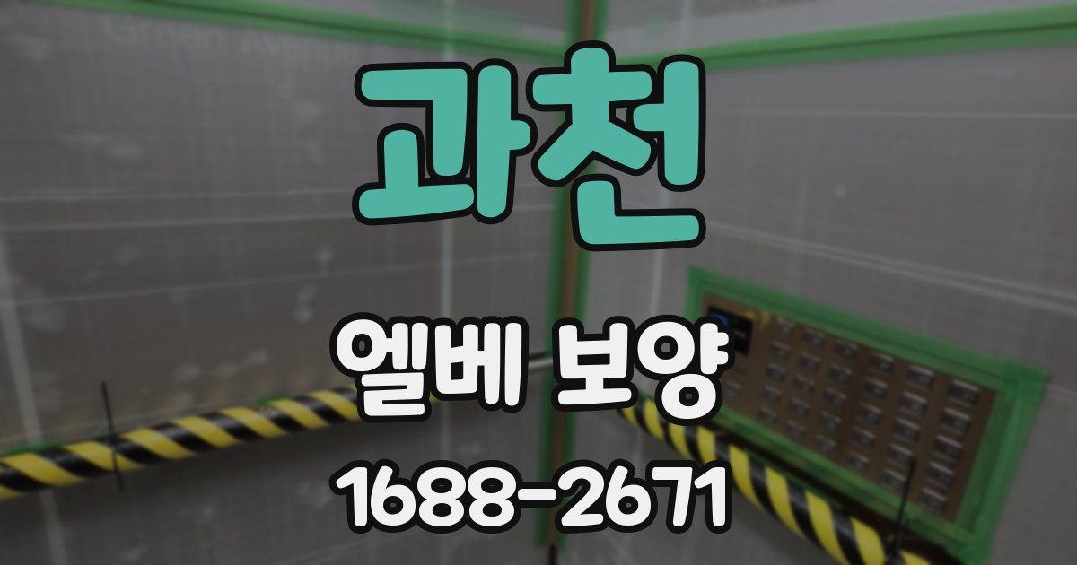 과천 엘베 보양
