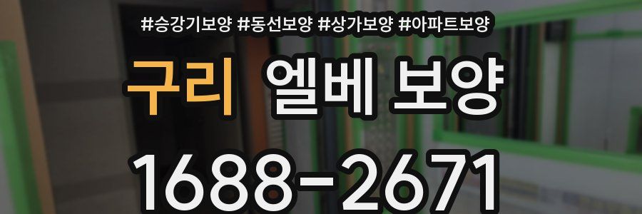 구리 엘베 보양