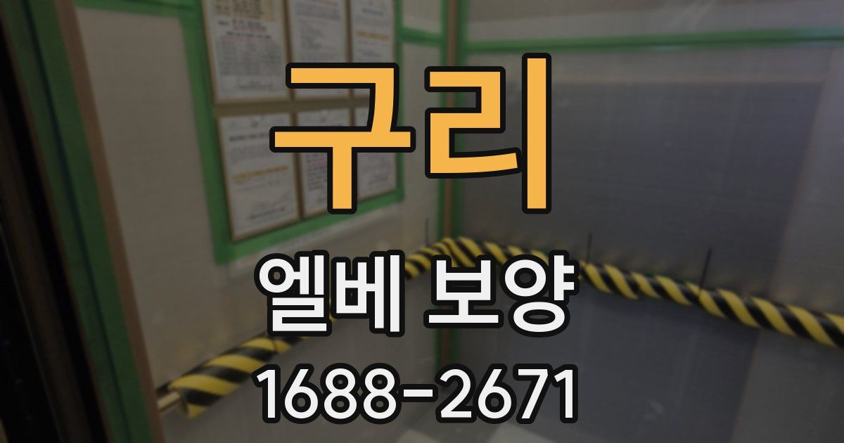 구리 엘베 보양