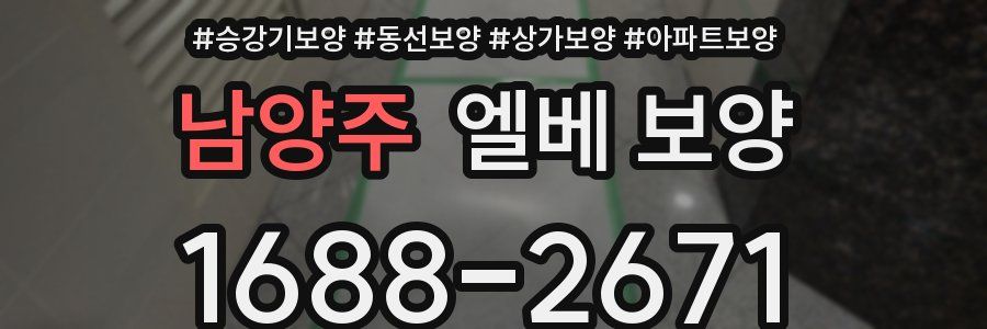 남양주 엘베 보양