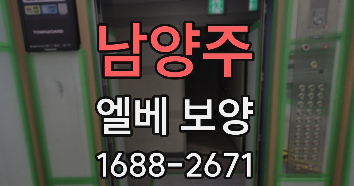 남양주 엘베 보양