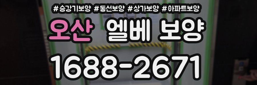 오산 엘베 보양